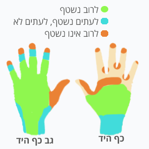 שטיפת ידיים אזורים 